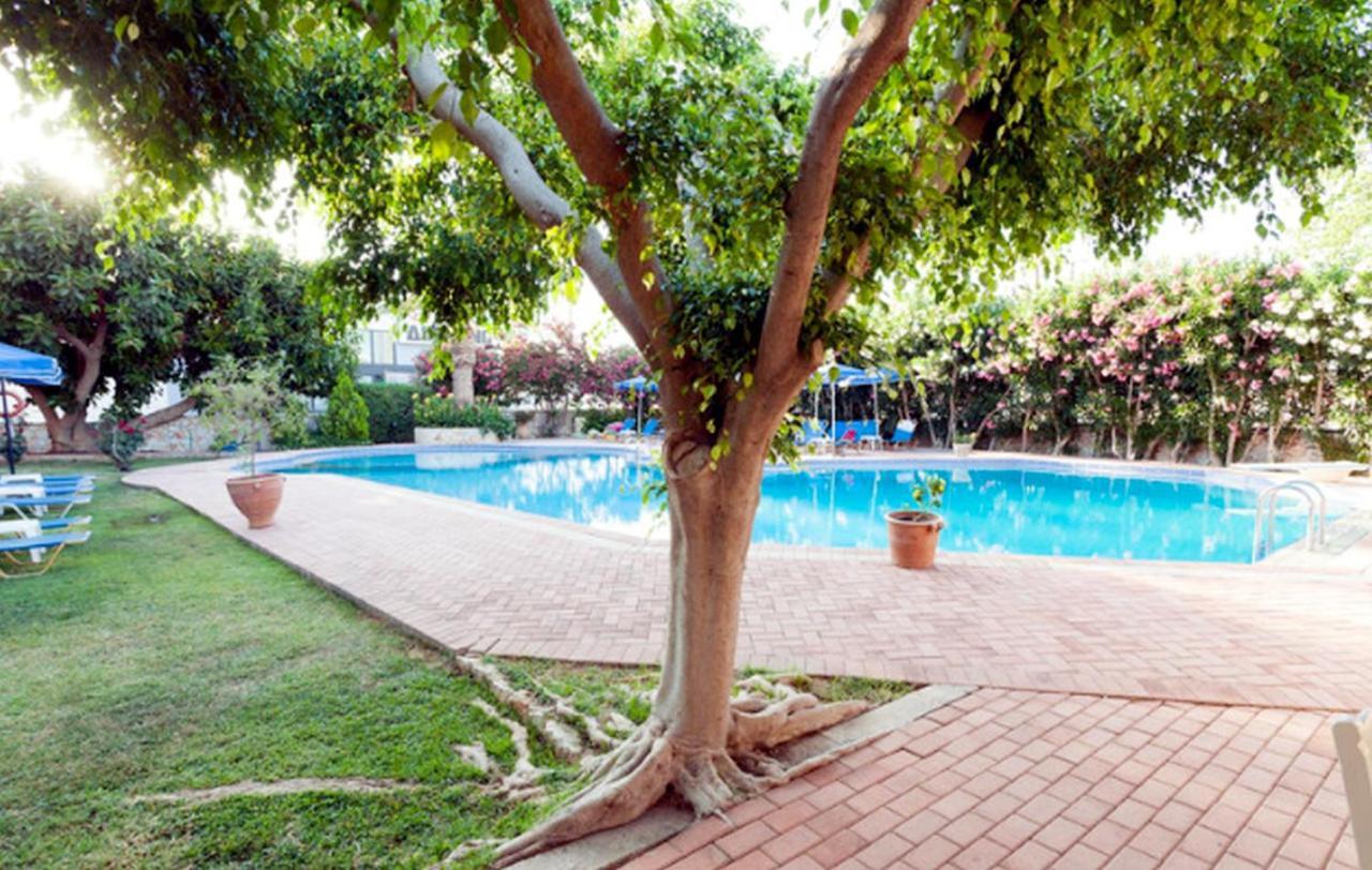 Lili Apartments,Oasis 2,5 Km From Hania Center Parigoria 外观 照片